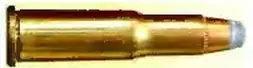 25-20 Winchester