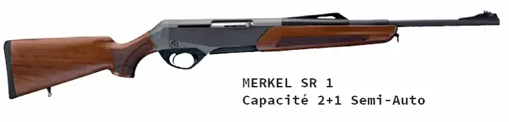 armes semi-automatiques