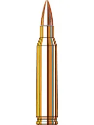 5.56 x 45 mm